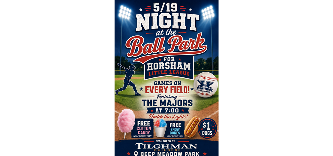 2nd Annual Night at the Ballpark